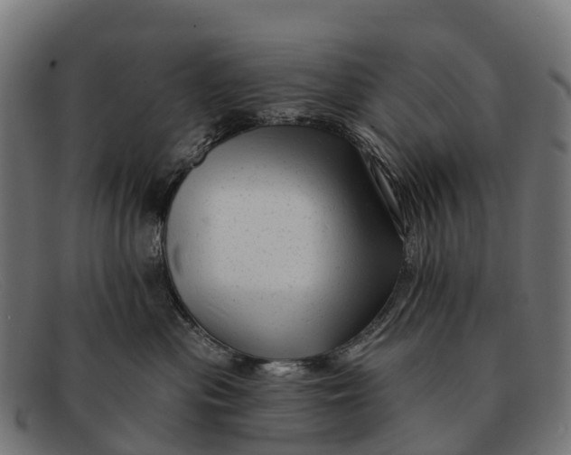 X0000091670477200709131532