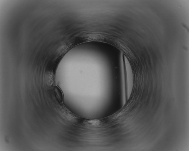 X0000091670478200709131532