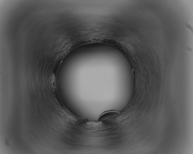 X0000091670480200709131532