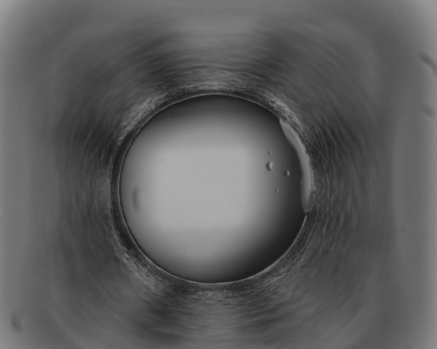 X0000091670482200709131531