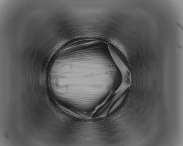 X0000091670483200709131531