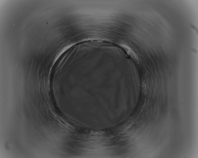 X0000091670484200709131531