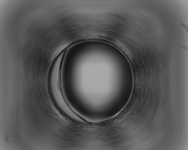 X0000091670485200709131531