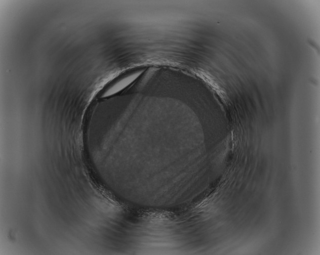 X0000091670488200709131531