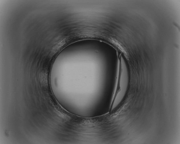 X0000091670489200709131531