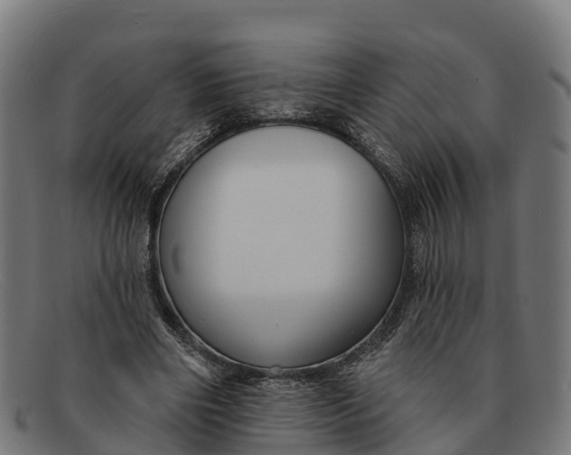 X0000091670490200709131531