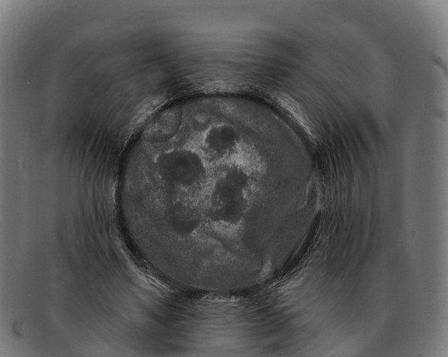 X0000091670491200709131531