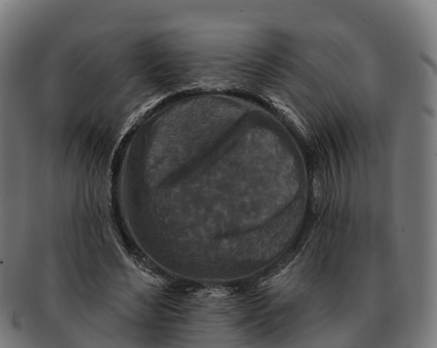 X0000091670492200709131531