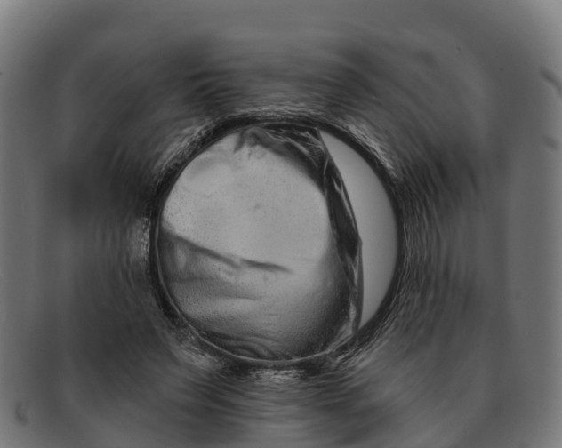 X0000091670495200709131531