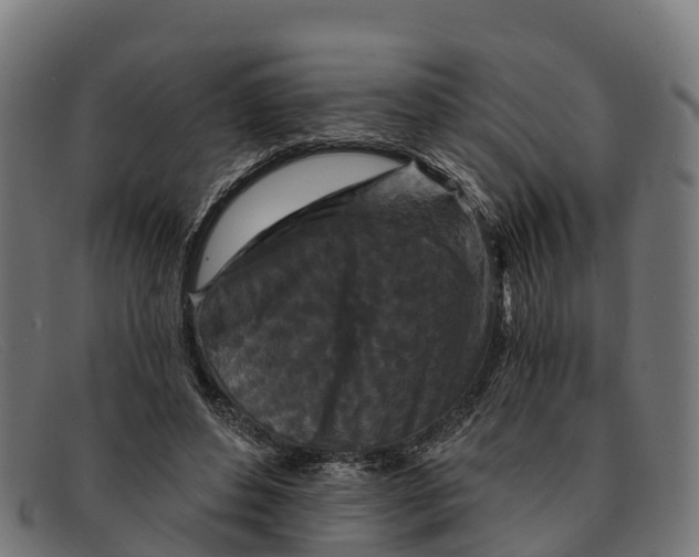 X0000091670496200709131531