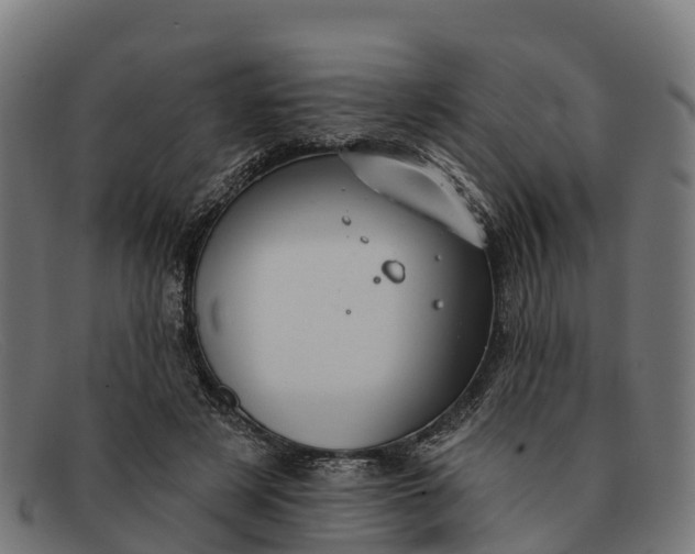 X0000091670497200709131531