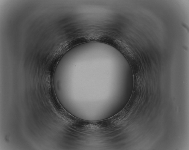 X0000091670498200709131531