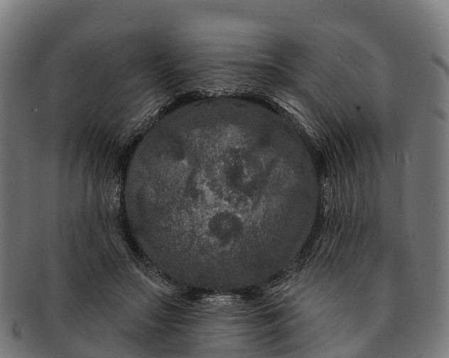 X0000091670499200709131531