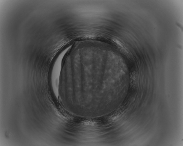 X0000091670500200709131531