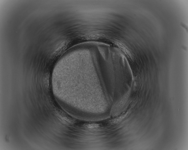 X0000091670501200709131531