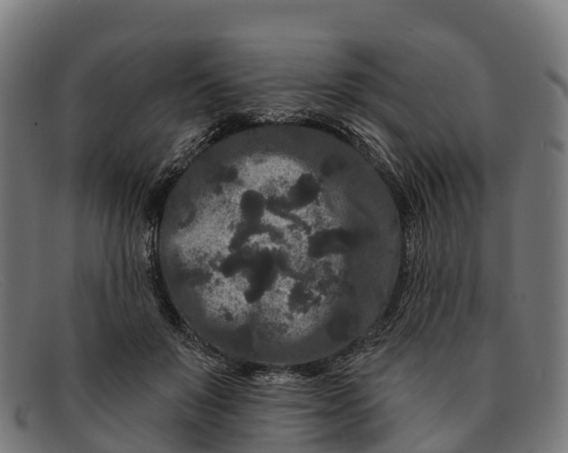 X0000091670503200709131531