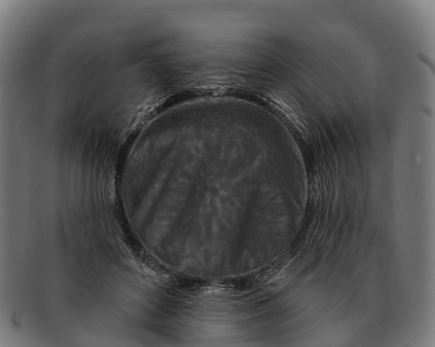 X0000091670504200709131531