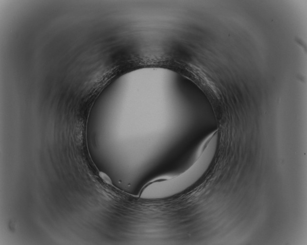 X0000091670505200709131531