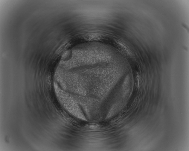 X0000091670506200709131531