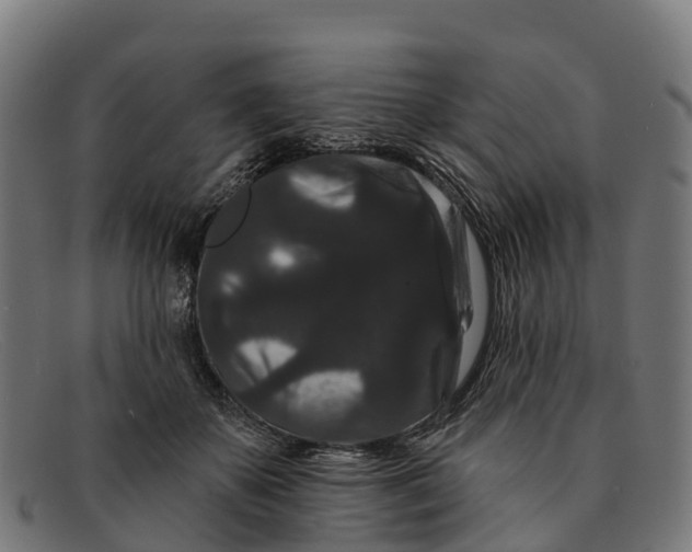 X0000091670507200709131531