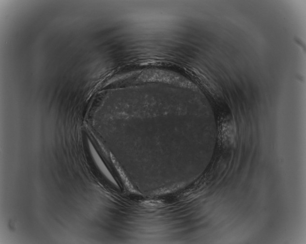 X0000091670508200709131531