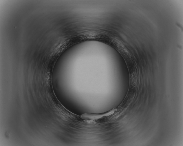 X0000091670509200709131531