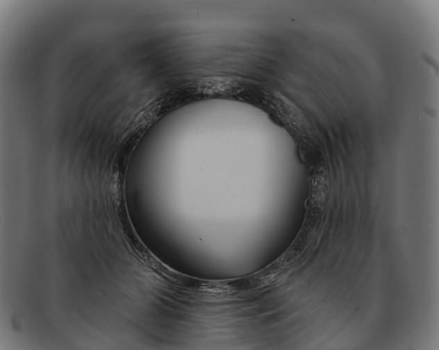 X0000091670510200709131531