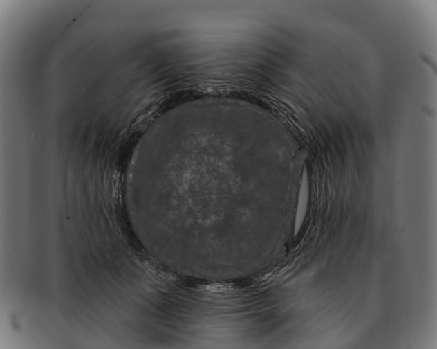 X0000091670511200709131531