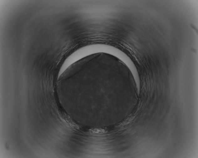 X0000091670512200709131531