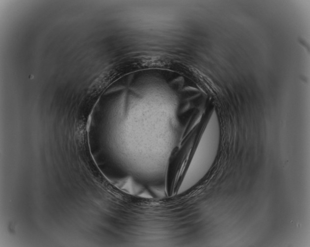 X0000091670513200709131531