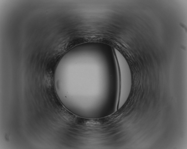 X0000091670515200709131531