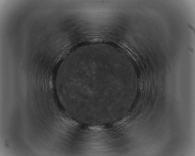 X0000091670516200709131531