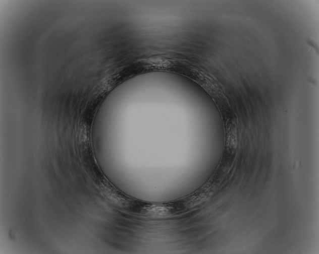 X0000091670518200709131531