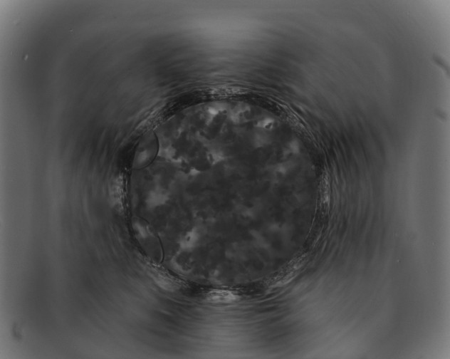 X0000091670519200709131531