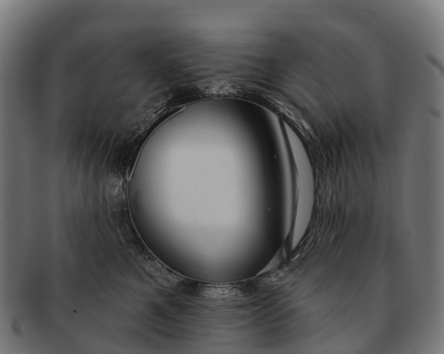 X0000091670521200709131531