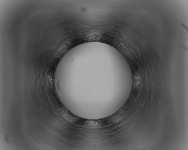 X0000091670522200709131531