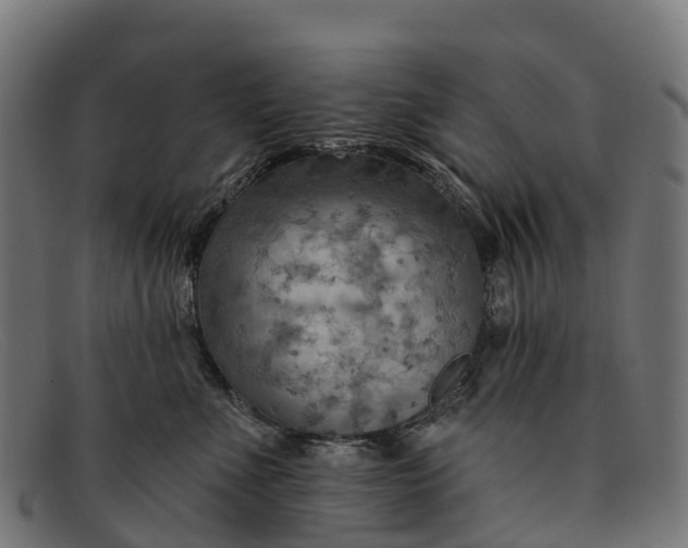 X0000091670523200709131531