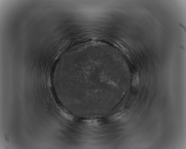 X0000091670524200709131531