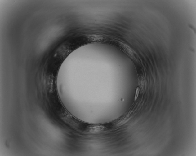 X0000091670525200709131531