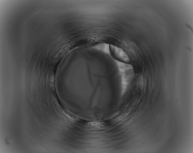 X0000091670526200709131531