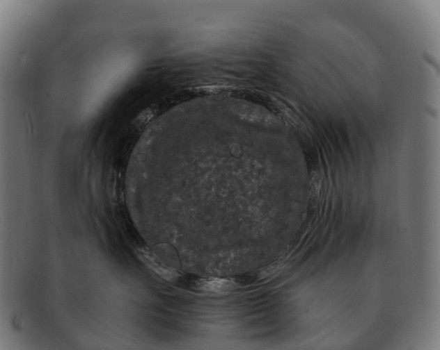 X0000091670527200709131531