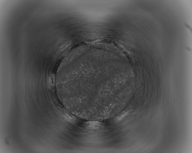 X0000091670528200709131531