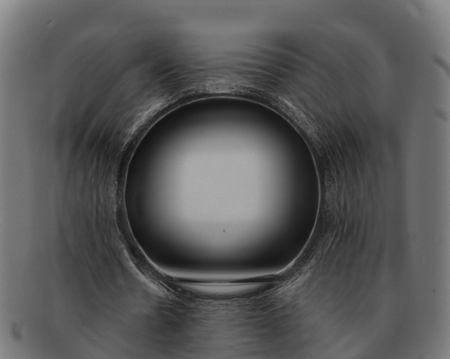 X0000091670530200709131530