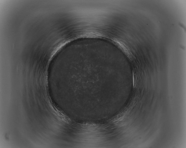 X0000091670531200709131530