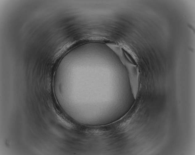 X0000091670533200709131530