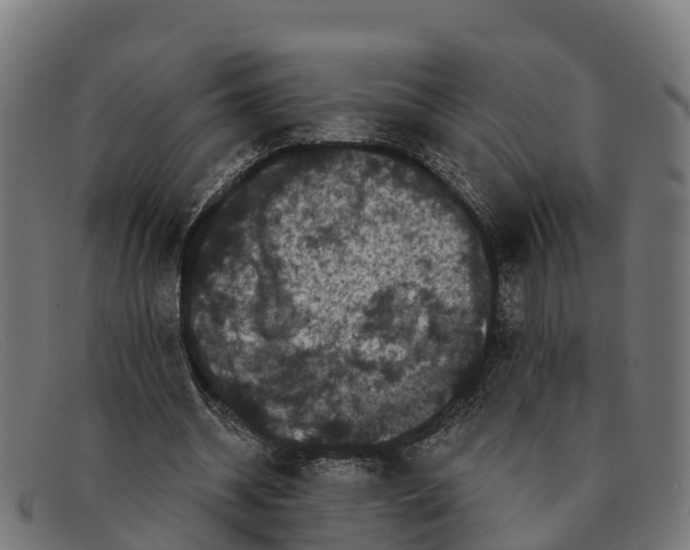 X0000091670534200709131530