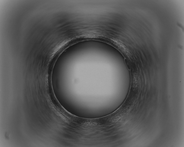 X0000091670535200709131530