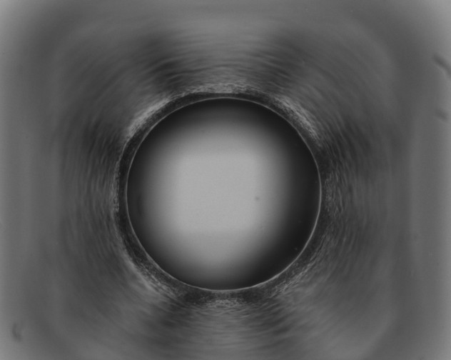 X0000091670536200709131530