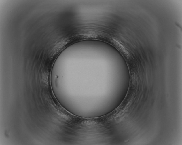 X0000091670537200709131530