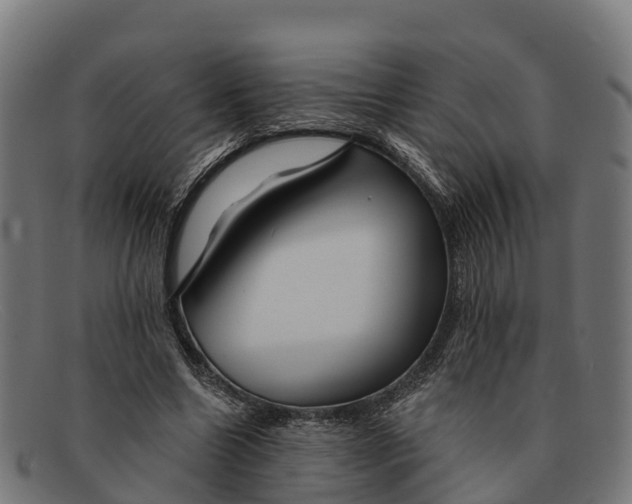 X0000091670538200709131530